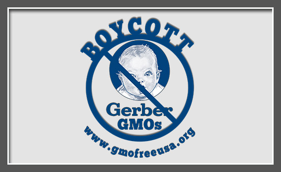 GMOFreeUSA_Website_Featured_05_BoycottGerber