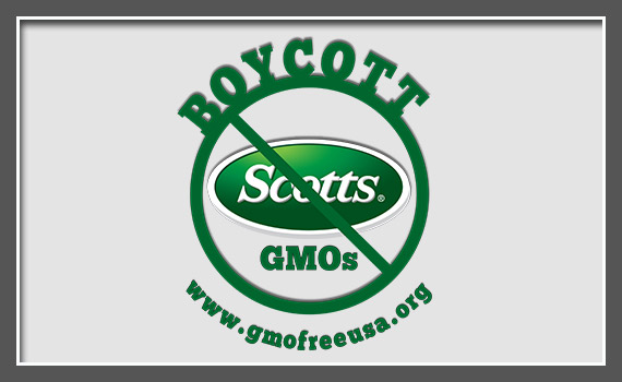 GMOFreeUSA_Website_Featured_06_BoycottScotts