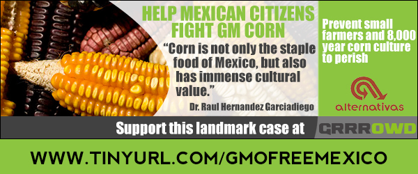 Grrrowd_Mexico_GMcorn_Banner_2_GMOFreeUSA