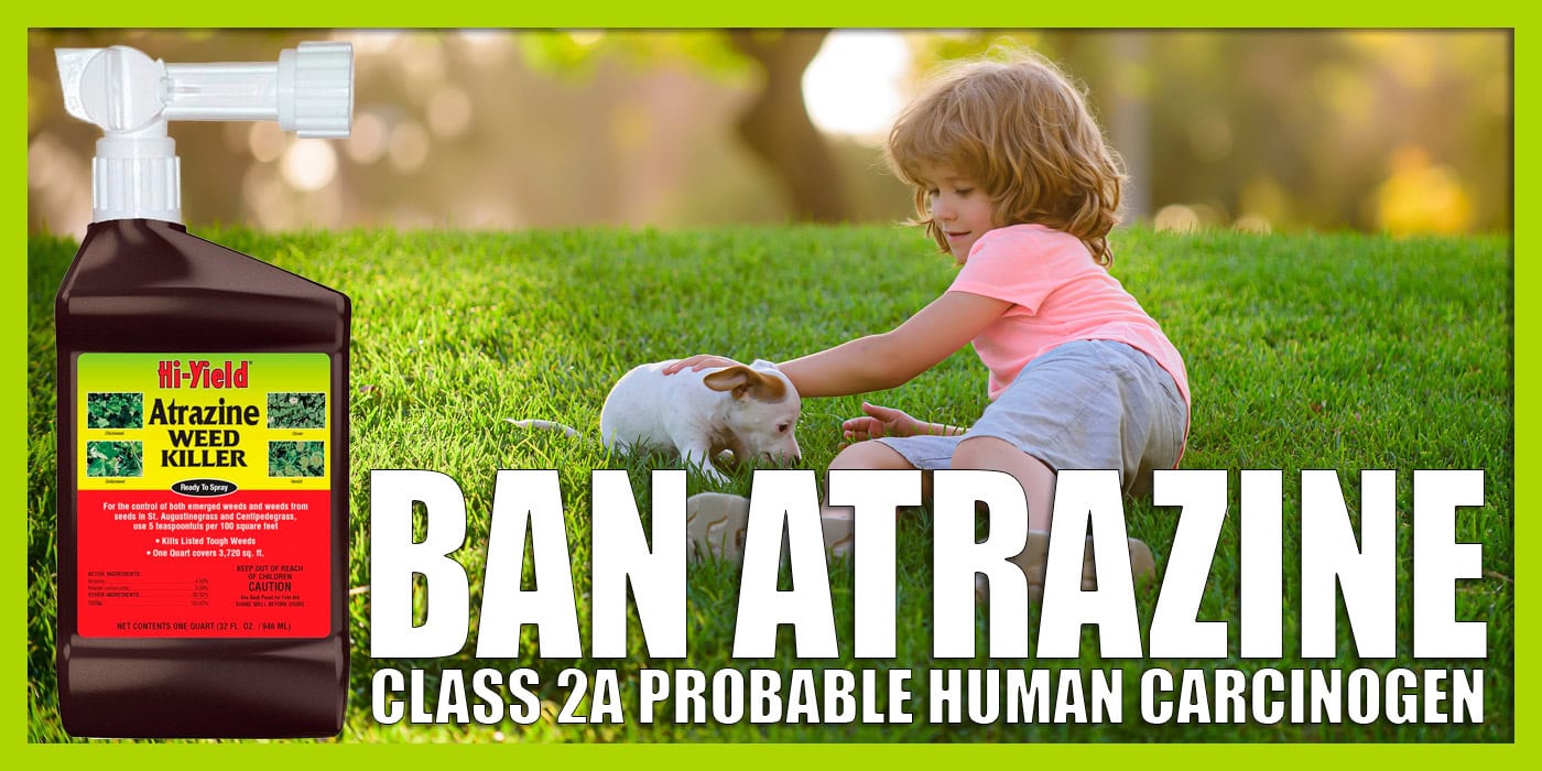 Tell the White House & Congress to Ban Atrazine in Farming and Food - GMO /  Toxin Free USA